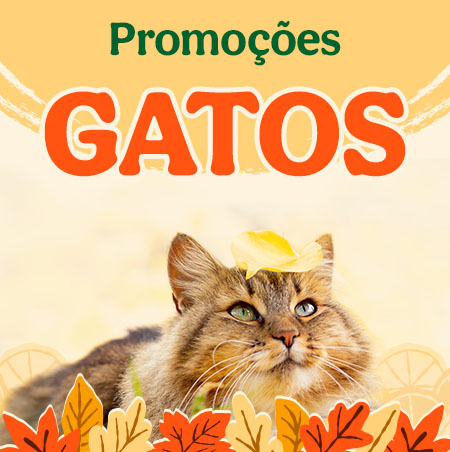 Promoções para gatos. Promoções para gatos.